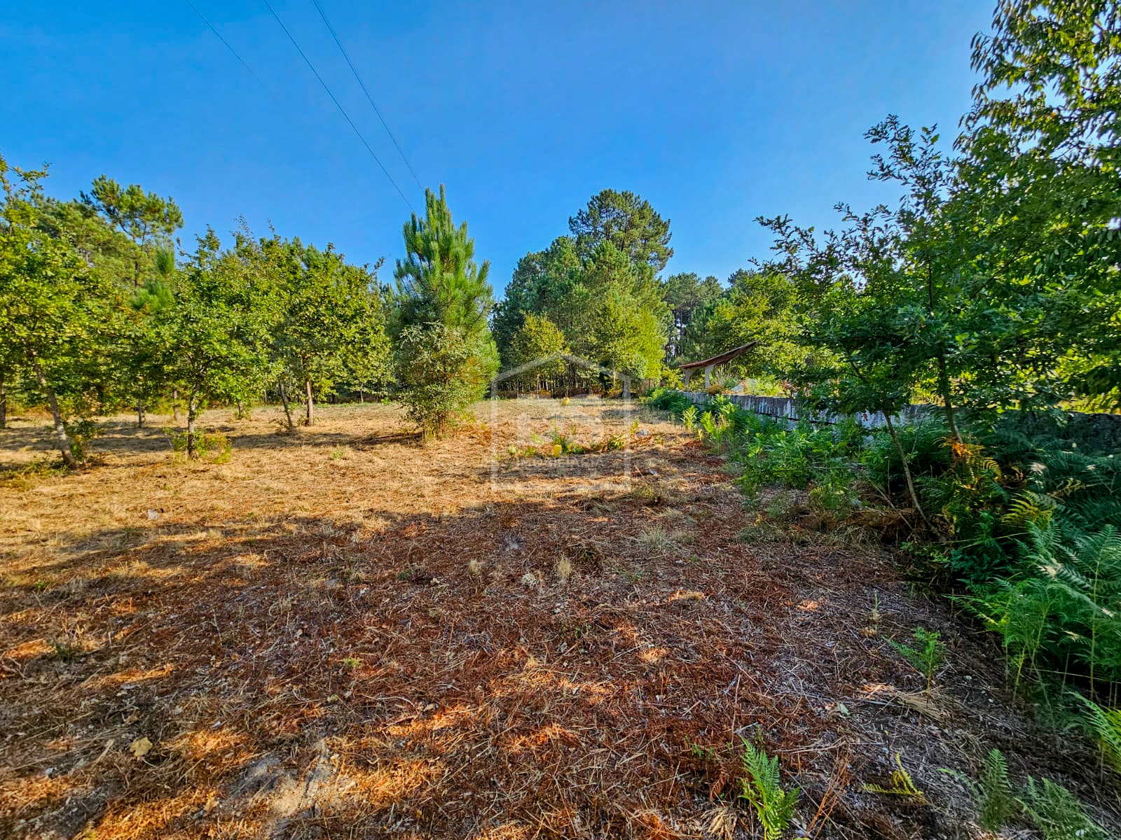  Terreno ideal para Construir o Seu Sonho: Terreno Urbano de 1770 m² em Monção