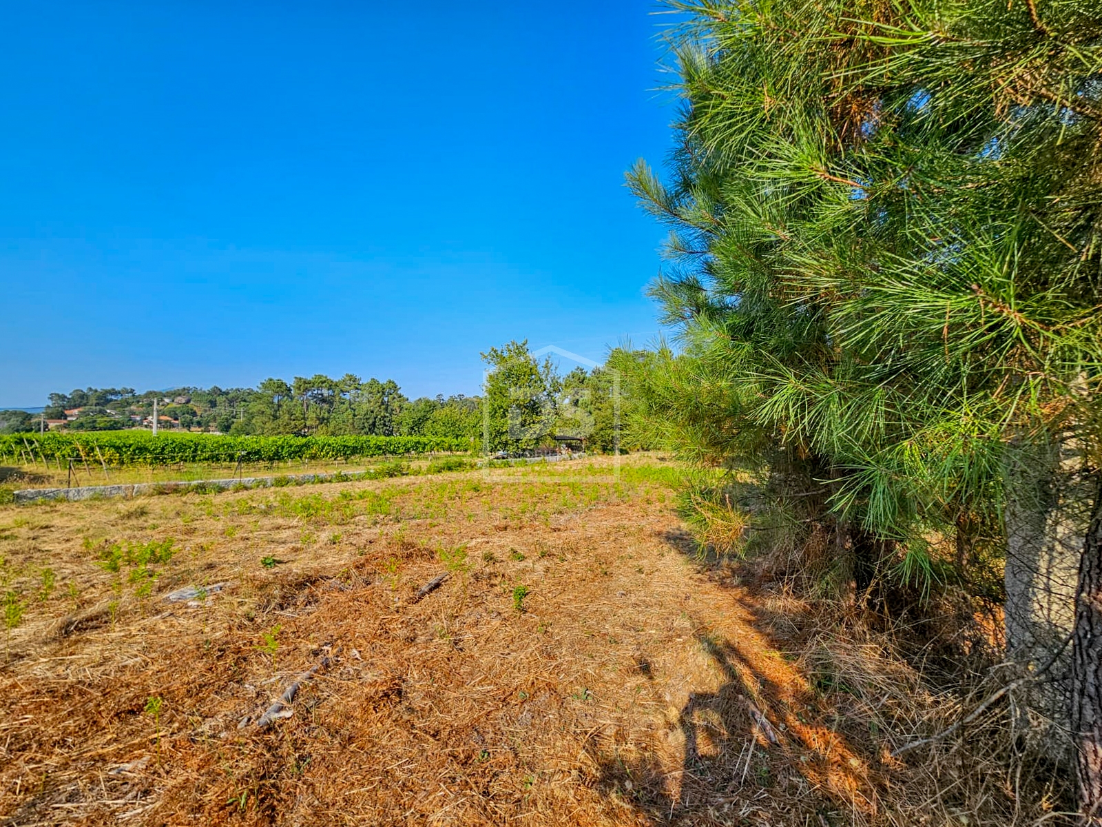  Terreno ideal para Construir o Seu Sonho: Terreno Urbano de 1770 m² em Monção