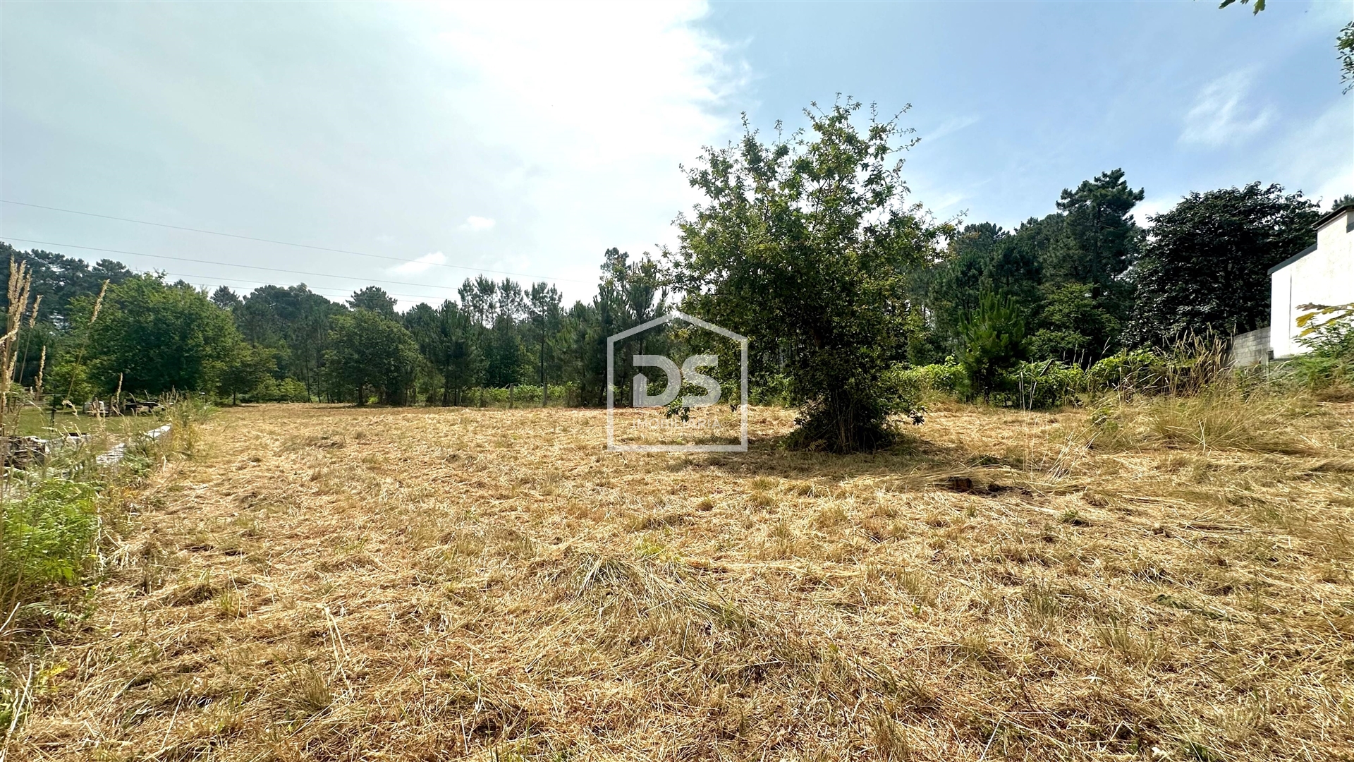 Lote de Terreno