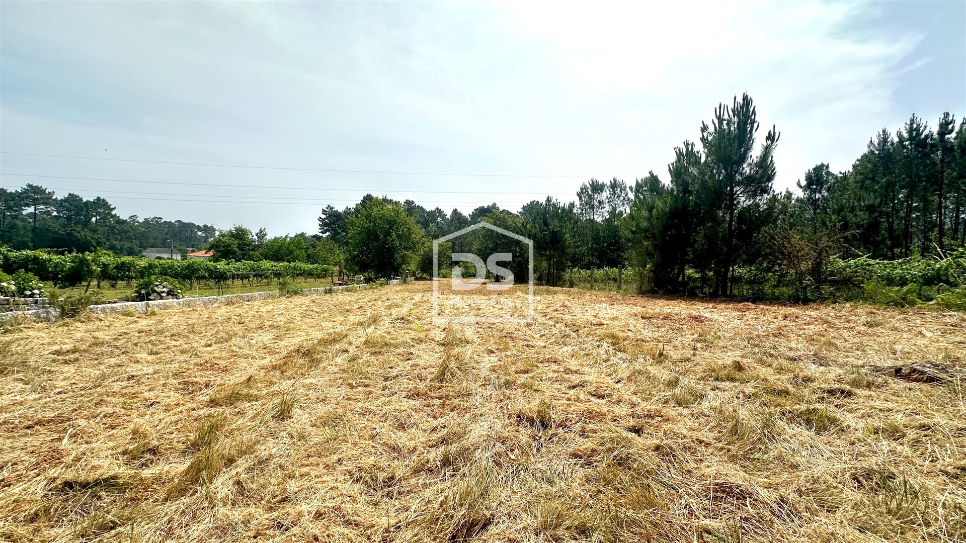 Lote de Terreno