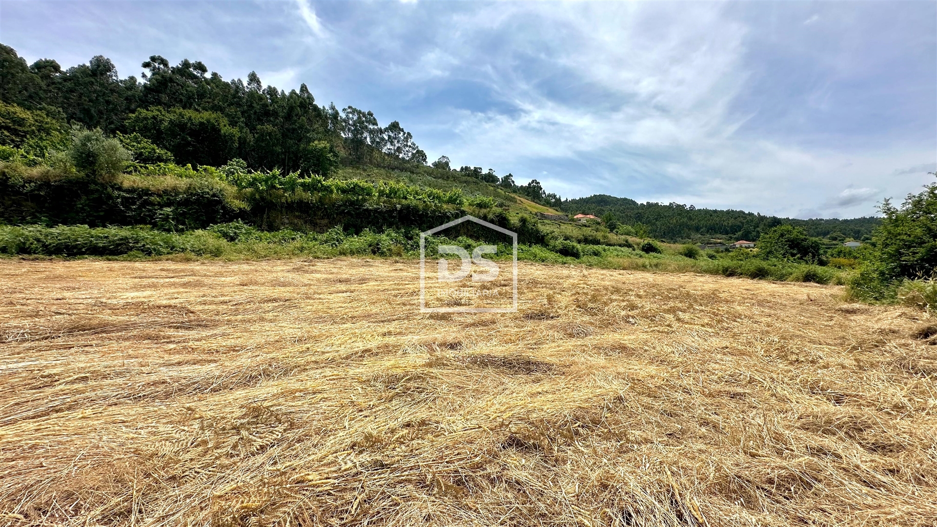 Lote de Terreno
